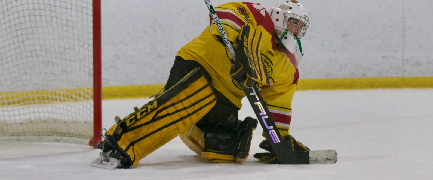 Lafayette Locomotive Hockey